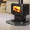 Regency Albany F200B Freestanding Wood Fire