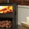 Regency Alterra F175B Freestanding Wood Fire