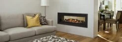Regency Greenfire GF1500LST See Thru Gas Fireplace