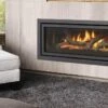 Regency Greenfire GF1500L Gas Fireplace