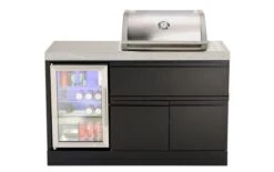 Crossray Mini Outdoor Kitchen With 2 Burner Gas BBQ And Single Fridge
