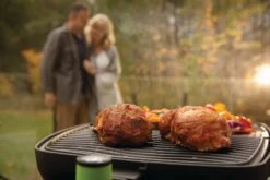 Napoleon Travel Q PRO 285E Electric BBQ -Joes BBQs Store TravelQ PRO285E lifestyle closeup chicken 2