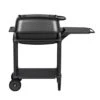PK Grills - PK300 Grill & Smoker