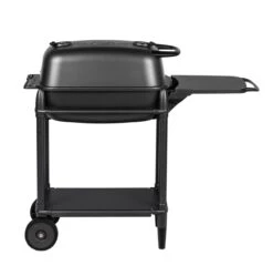 PK Grills - PK300 Grill & Smoker