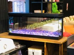 Ambe 49 Inch Multi Electric Fireplace -Joes BBQs Store image 0f11c4c9 4a96 4e86 9958 cb44283ac4ed