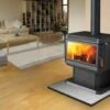 Regency Hume F250B Freestanding Wood Fire